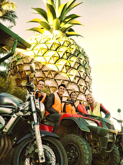 Motorbike Lessons Big Pineapple